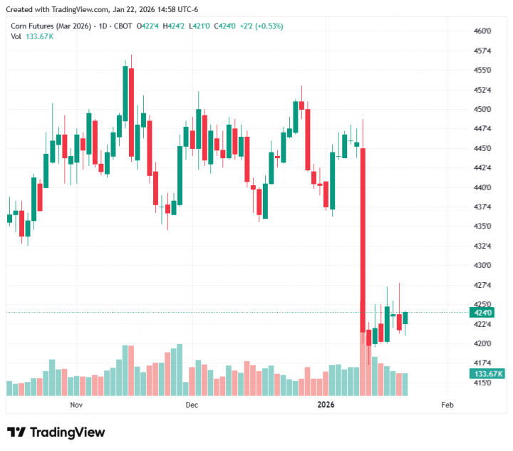 1fbe1f6fe5fb17150998a76947854a70_1769115