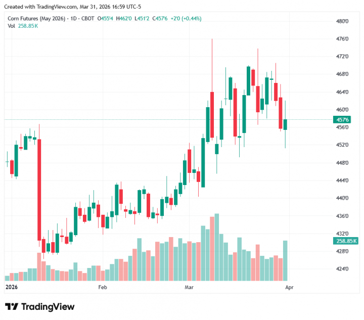 4537376a7762c74825571c998159c3a8_1774994